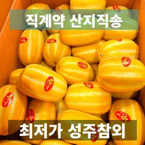 도매가 금메달농수산 산지직송 성주 못난이 참외, 1개, 1kg 로얄과 4과 내외