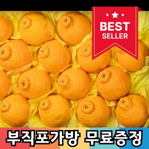 [설선물추천] 명품 한라봉 과일 선물세트, 1박스, 2kg 중대과 (6~12과 / 실중량 1.8kg)