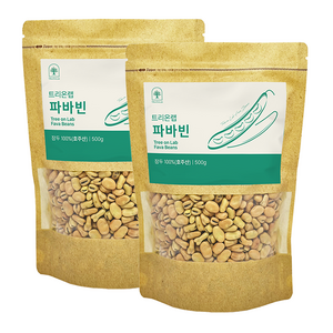 트리온랩 파바빈 잠두 식물성 단백질 콩 원물, 500g, 2개