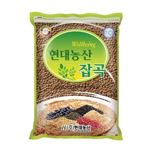 현대농산 갈색렌틸콩 1kg 렌즈콩, 1개