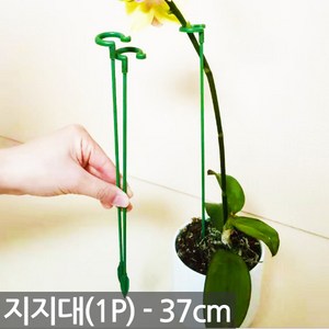 식물 지주대 37cm(1P) - 식물 고정 화초 줄기 지지대 가지 고리 원예 용품 도구 가든 대 철사, 1개