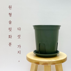 [풀떼기] 원형 슬릿 화분, 2. 소, 1개