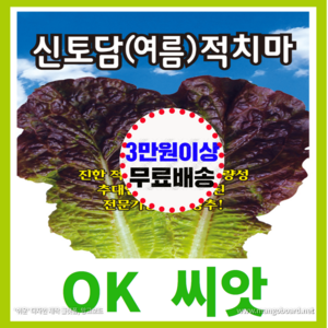 [OK씨앗] [신토담적치마여름상추(봄 여름)] 상추씨앗 종자(오케이씨앗), 1개