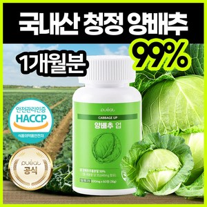 순수한건강 양배추 정 숙취해소 국내산 위에좋은 환 유기농 분말 99% 35 640mg 60정, 1개