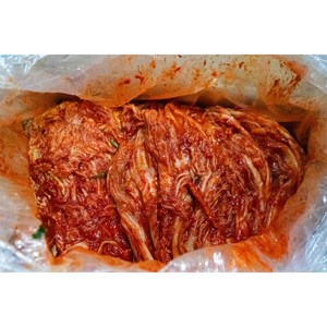 [오감만찬] 썰은 맛 포기김치, 1개, 10kg