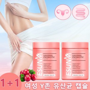 여성 유산균 질 프로바이오틱스 캡슐 Y 케어 유산균 크랜베리 영양제 이너와이 질유래 질건강 밸런스, 2개, 60정