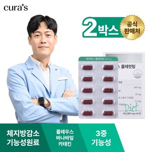 큐라에스 콜레컷팅 체지방감소 카테킨 콜레우스포스콜리 바나바잎, 60정, 2박스