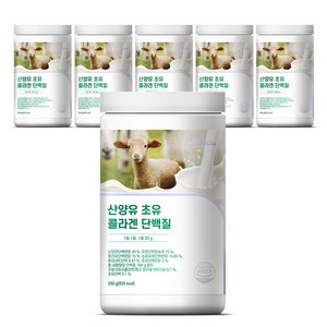 퍼펙토 산양유 초유 콜라겐 단백질 산양유단백질 유청단백질, 250g, 6개