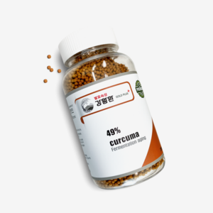 지노헬스케어 발효 강황환 250g, 1개