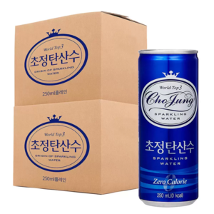 초정탄산수, 250ml, 60개