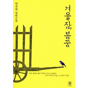 겨울잠 봄꿈:한승원 장편소설, 비채, 한승원