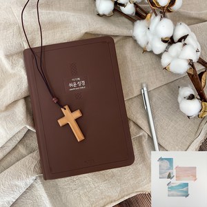 쉬운성경 아가페 특대 다크브라운