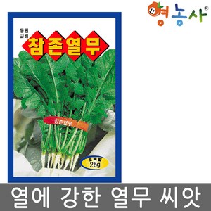 참존 열무 씨앗 25g 단묶음 용이한 열무씨, 참존열무, 1개