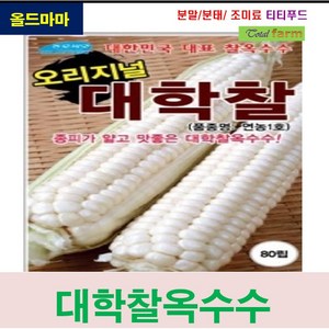 대학찰 옥수수 종피가 얇고 맛좋은 씨앗 80립, 1개