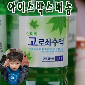 2월 10일 순차발송 (엄마마음 효자고로쇠) 산지직송 지리산 효자 1등급 고로쇠수액 100% 수액 (아이스박스 배송), 3개, 1.5L