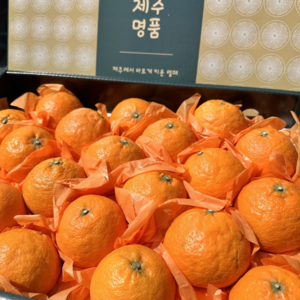 [재구매1위] 프리미엄특품 어버이날선물 과일선물세트 카라향선물세트, 1개, 2kg 선물세트