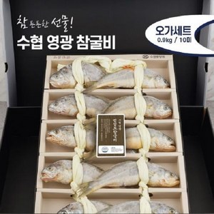 [수협중앙회]참굴비 오가 0.9kg10미+부직포가방, 1개, 상세 설명 참조