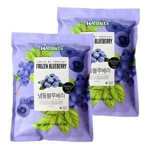 웰루츠 A등급 냉동 블루베리 1kg, 2개