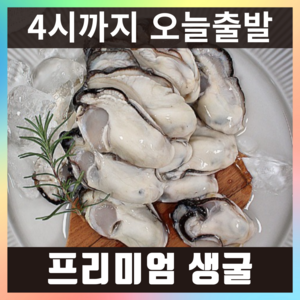 햇굴 생굴 당일작업 깐굴 굴 통영, 1개, 최상급(대굴) 2kg