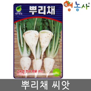 영농사 뿌리채 씨앗 10g 배추 뿌리와 비슷한 맛 종자, 1개