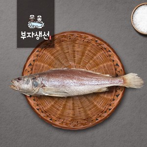 반건조생선 제수용 민어조기 소 중 대 특대 망미중앙시장 김명욱, 민어조기50cm1마리(특특대), 1개