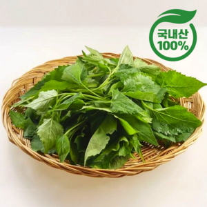 [국내산100%] 신선하고 진한맛 생 취나물 (특), 1개, 1kg