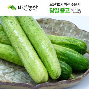 < 바른농산 > 국내산 오이 다다기오이 백오이 (상품), 10개, 200g