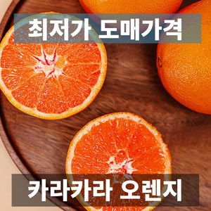 금메달농수산 특품 프리미엄 카라카라 오렌지, 1개, 중과 10과