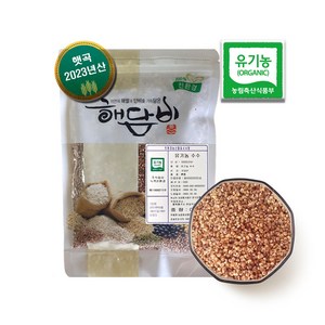 국내산 유기농수수 500g (2023년산), 1개