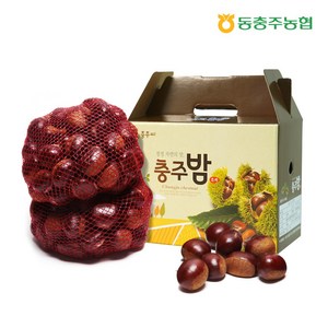 동충주농협 소태밤 4kg / 24년산 햇밤 석추밤 충주밤, 1개