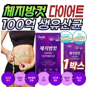 뉴일리 체지방컷 다이어트 유산균 100억 생유산균 60캡슐, 1박스, 27g