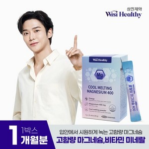 위시헬씨 쿨멜팅 마그네슘 400, 90g, 1개