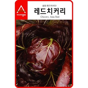 (치커리종자씨앗) 레드치커리-적쌈이(1500립) S2472, 1개