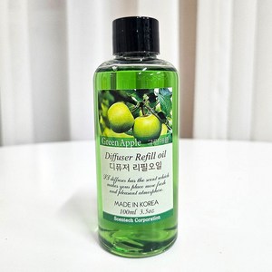 디센트 스포이드 차량용 디퓨저 100ml 리필 + 스포이드 + 우드스틱 + 화이바 리드스틱 세트, 그린애플, 1개