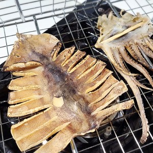 건어물이좋다 동해안 마른오징어 건오징어 5미 10미, 원양산 마른오징어 특대 5미 (425g), 1개