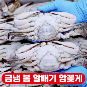 안군수산 국내산 연평도 봄 100% 알배기 냉동 급냉 암 꽃게, 1개, 2kg