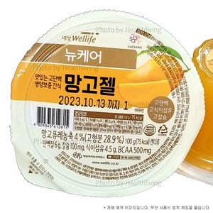 뉴케어 영양간식 망고젤 100g, 15개