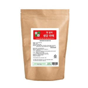 빅트레인 핫섬머 생강 라떼 500g, 1개