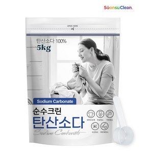 순수크린 워싱소다 탄산소다 5kg 초강력 세탁보조제 대용량 탈취 세탁세제 세탁소용 전문가용, 1개, 5L