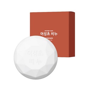 (23년07월 제조)공스킨 어성초 비누100g/모공비누/각질제거/파라벤X, 100g, 1개