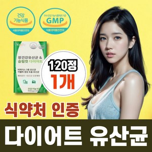 [BNR17유산균] 식약처 인증 다이어트 유산균 비에날씬 비에날17 diet probiotics, 1개, 120회분