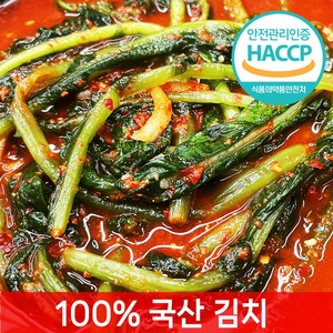 [전라도찐맛] 당일제조 칼칼한 열무물김치 짜박이, 1개, 1kg