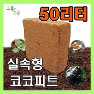 그루그루 압축 코코피트, 1개