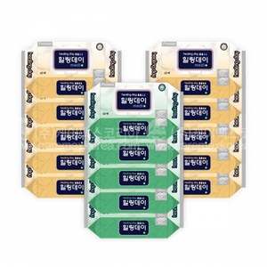 힐링데이(=카네이션과 같은공장 동일제품임) 엠보싱 대형물티슈 캡형 60매(200x300mm) 15팩(900매) 1박스, 15개