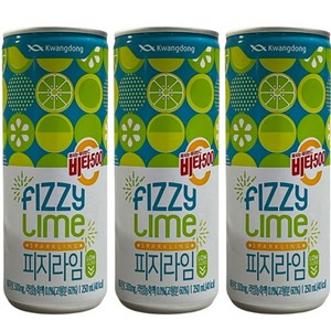 비타500 피지라임, 250ml, 48개