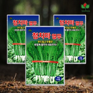 [씨드코리아] 열무씨앗 부드러운 청치마 열무씨앗, 3개
