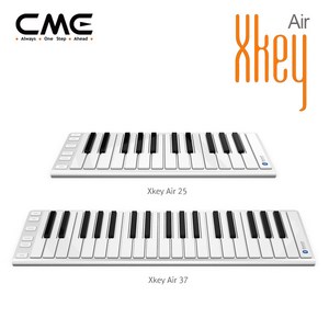 CME XKey Ai, XKey Ai25, 1개