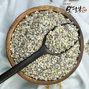 힘찬농부오달봉 국산 오색보리 (늘보리 청보리 찰보리 흑보리 자색보리), 1개, 5kg