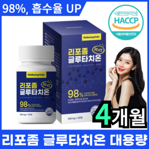 웰빙홀릭 리포좀 글루타치온 인지질코팅 HACCP 식약처인증 리포조말 500mg 비타민c 콜라겐, 1박스, 120정