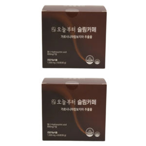 오늘부터 슬림카페 90g, 2개